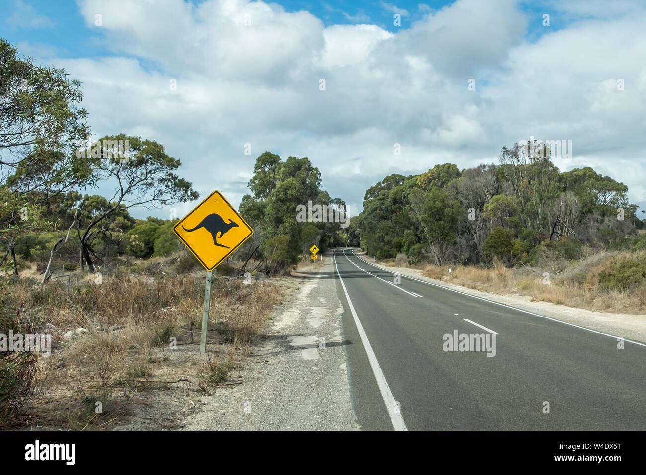 Straße auf Kangaroo Island mit verkehrsschild Achtung der Kängurus auf dem Weg in die Zukunft Stockfoto