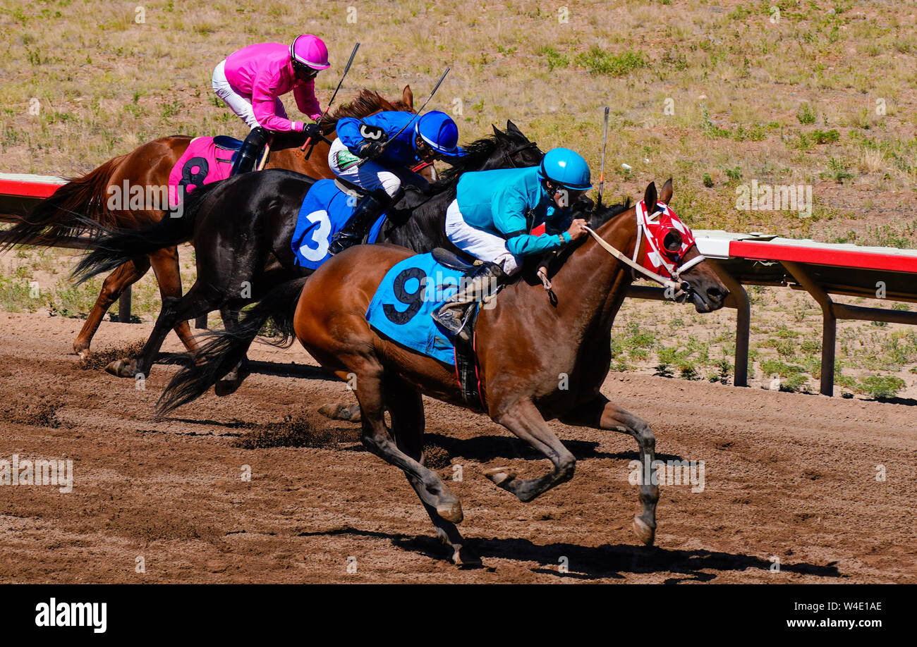 Rennpferde und farbenfroh gekleideten Jockeys in Richtung Ziellinie - Version 2 Stockfoto