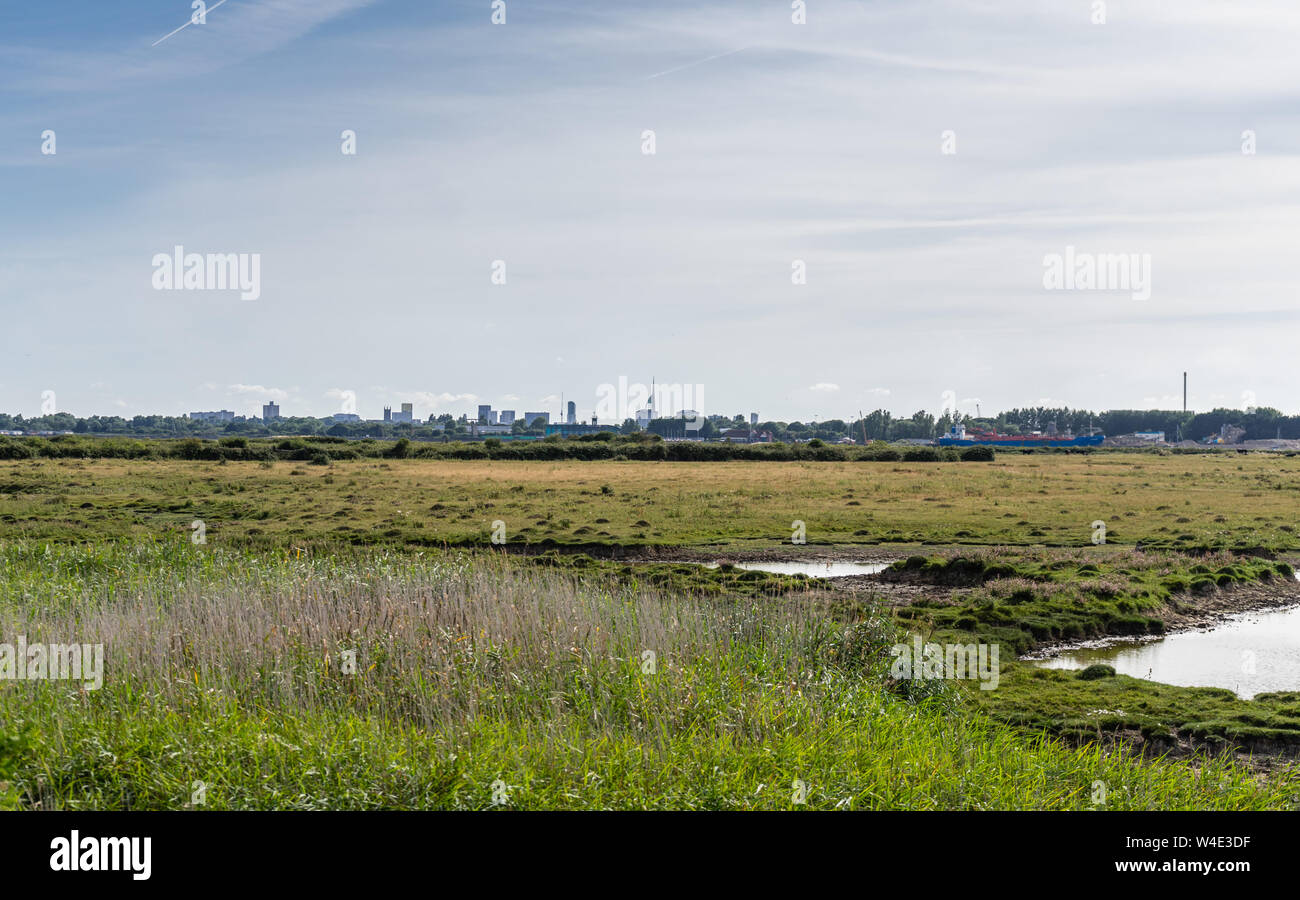 Blick über farlington Sümpfe Naturschutzgebiet entlang der Solent an Langstone Hafen im Sommer 2019 in Portsmouth, Hampshire, England, Großbritannien Stockfoto