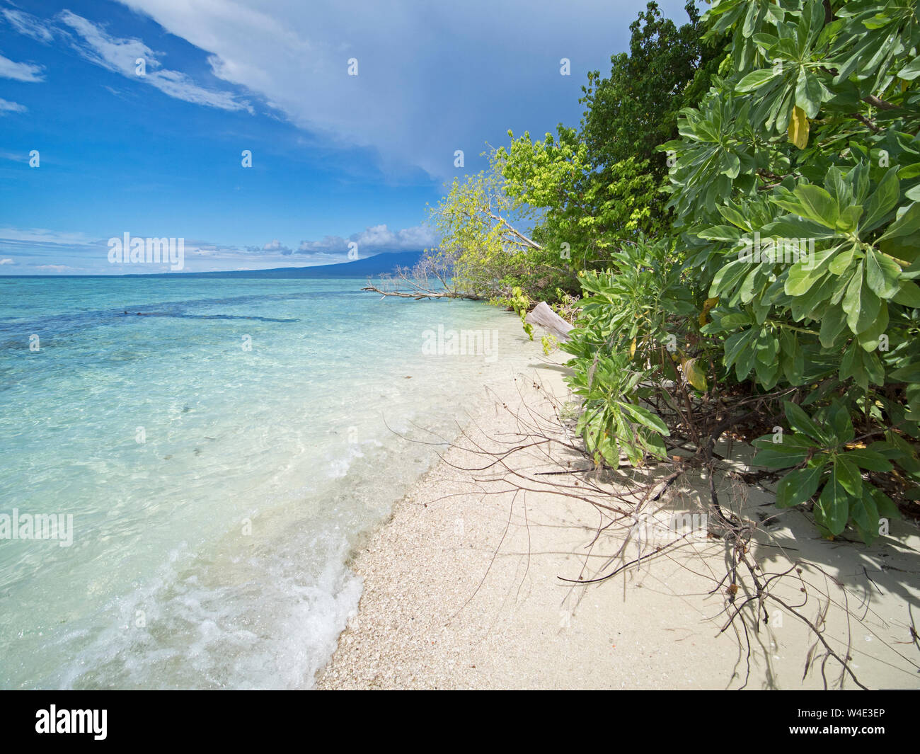 Kennedy Insel in der neuen Georgia Gruppe, Western Province, Solomon Inseln im Südpazifik Stockfoto
