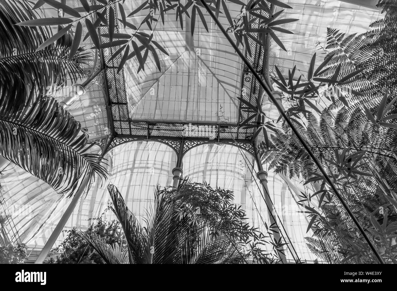 Das Palm House, Royal Botanic Garden Edinburgh Stockfoto
