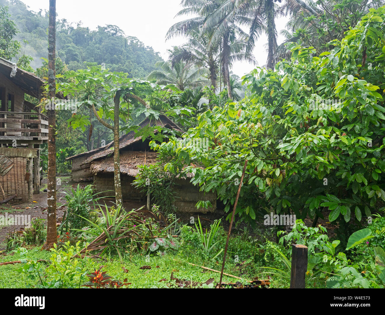 Wald Garten Obst und Gemüse angebaut werden, einschließlich Kumara, Taro, Bananen, frühlingszwiebeln etc Nara, Makira Insel, die Salomonen, South Paci Stockfoto