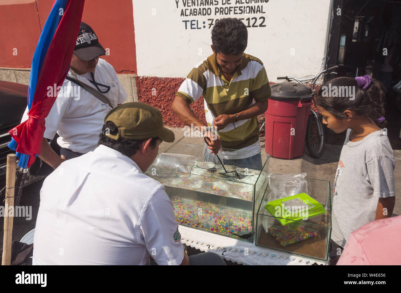 Guatemala, Antigua, Markt Szene, Mann kaufen Goldfisch für Mädchen Stockfoto