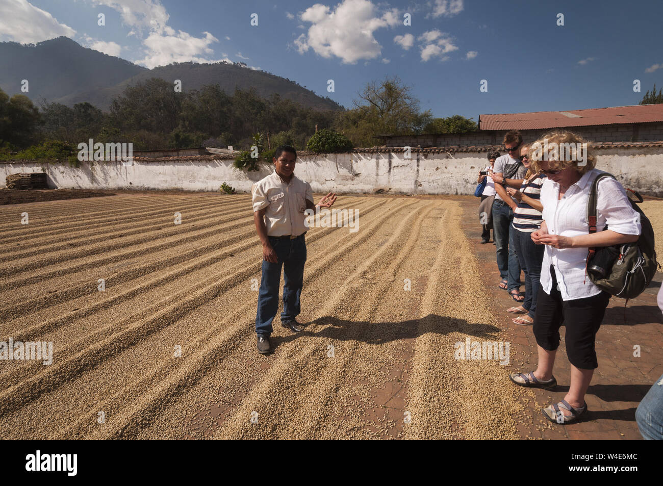 Guatemala, Antigua, Jocotenango, Museum für Kaffee, Besucher, die beim trocknen Bohnen suchen Stockfoto