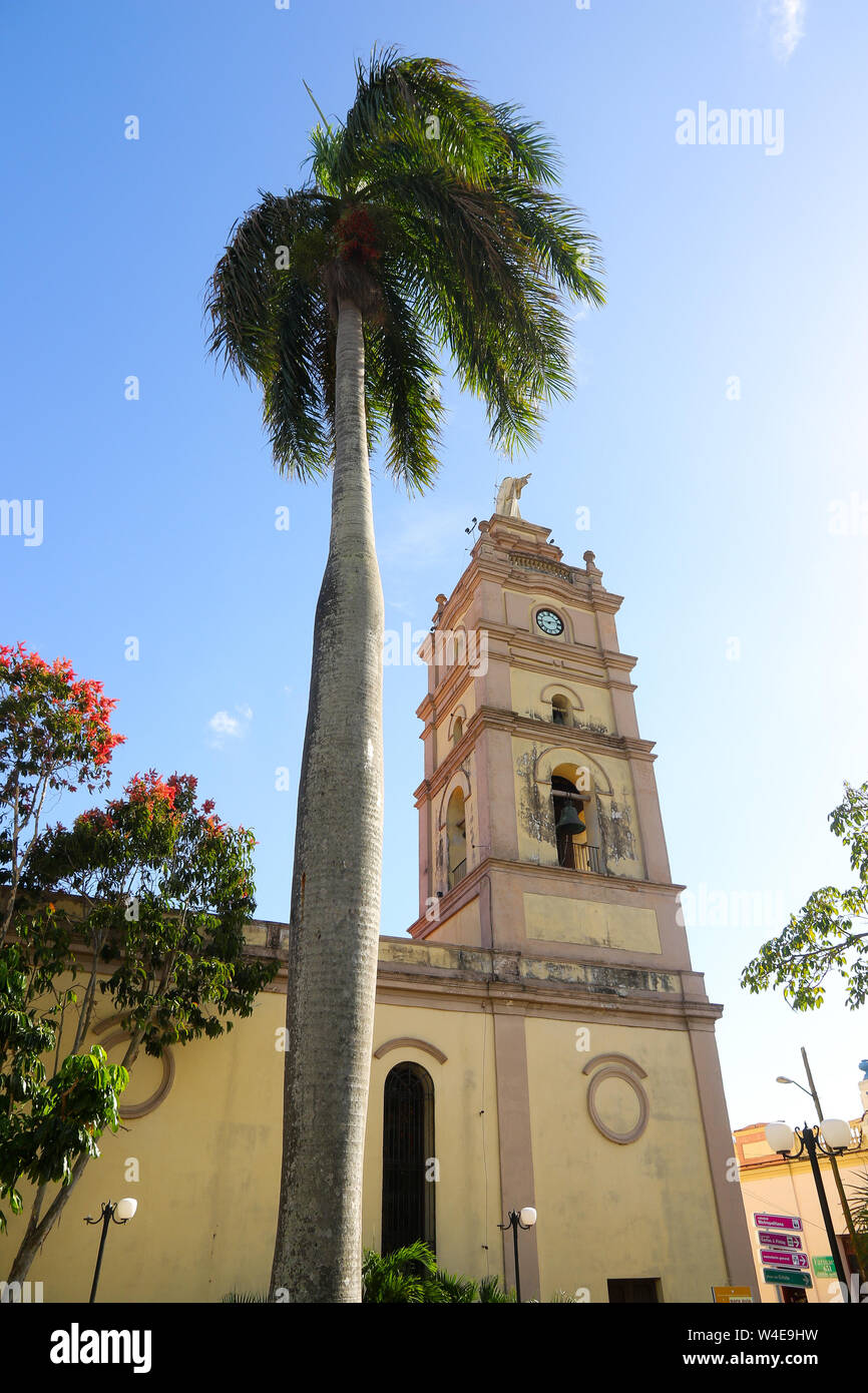 Camagüey, Kuba - Palm Tree vor der Kathedrale Kirche der Jungfrau von Candelaria Stockfoto