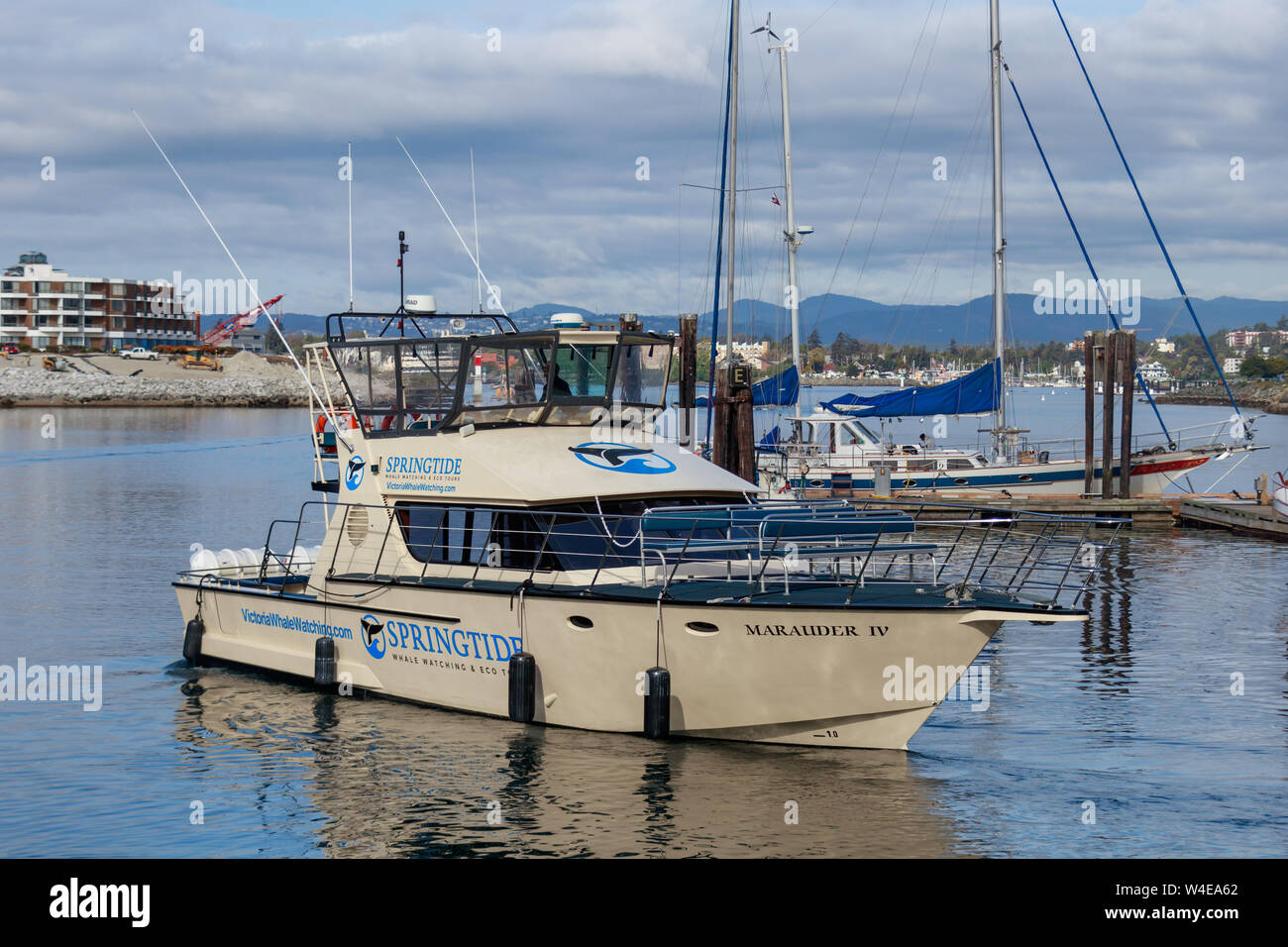 Springtide Walbeobachtung und Eco Tours Schiff zieht in den Hafen im Stadtzentrum von Victoria, BC. Stockfoto