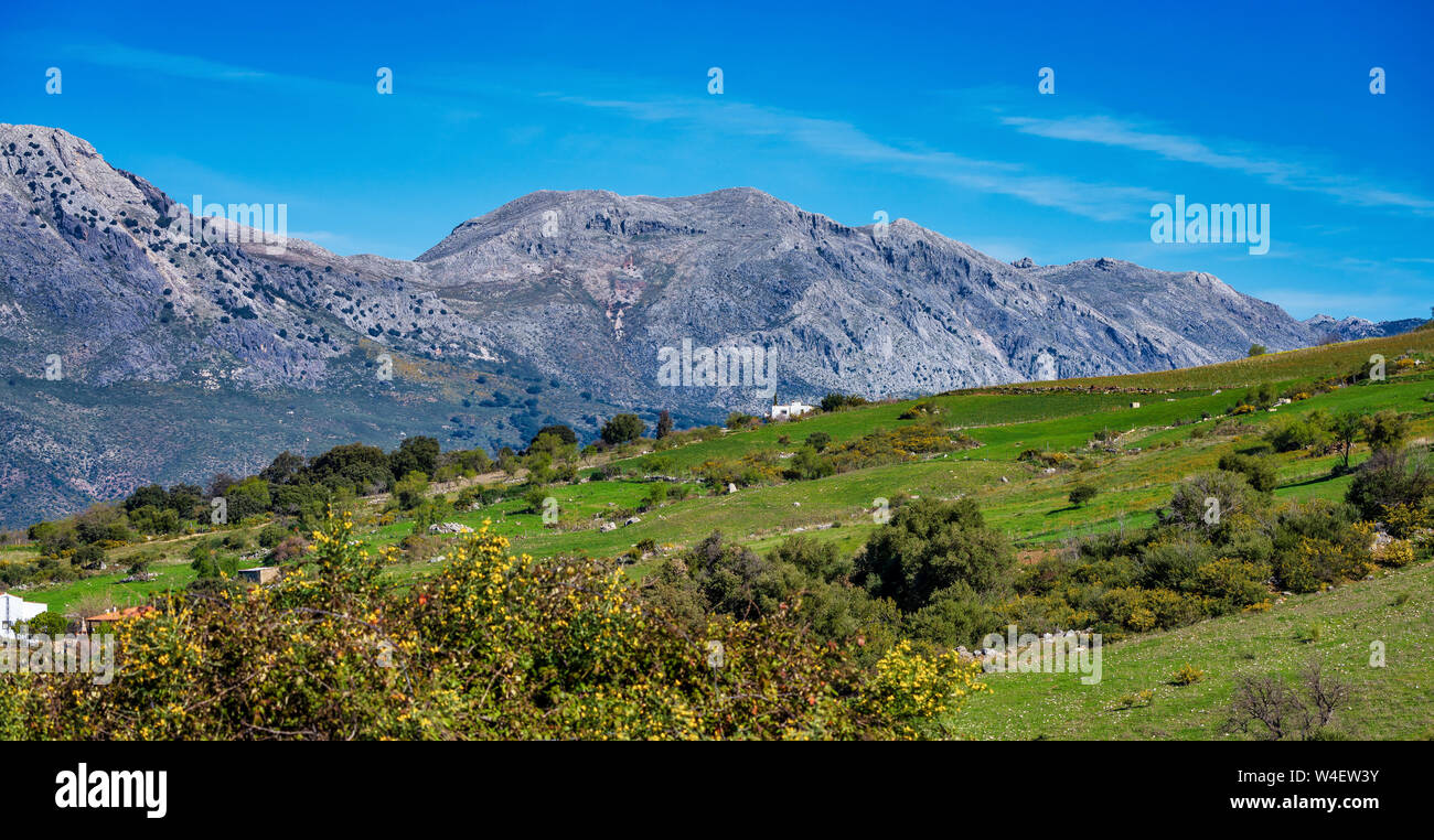 Weißes andalusisches Dorf, Pueblo blanco Algatocin. Provinz Malaga, Costa del Sol, Spanien Stockfoto