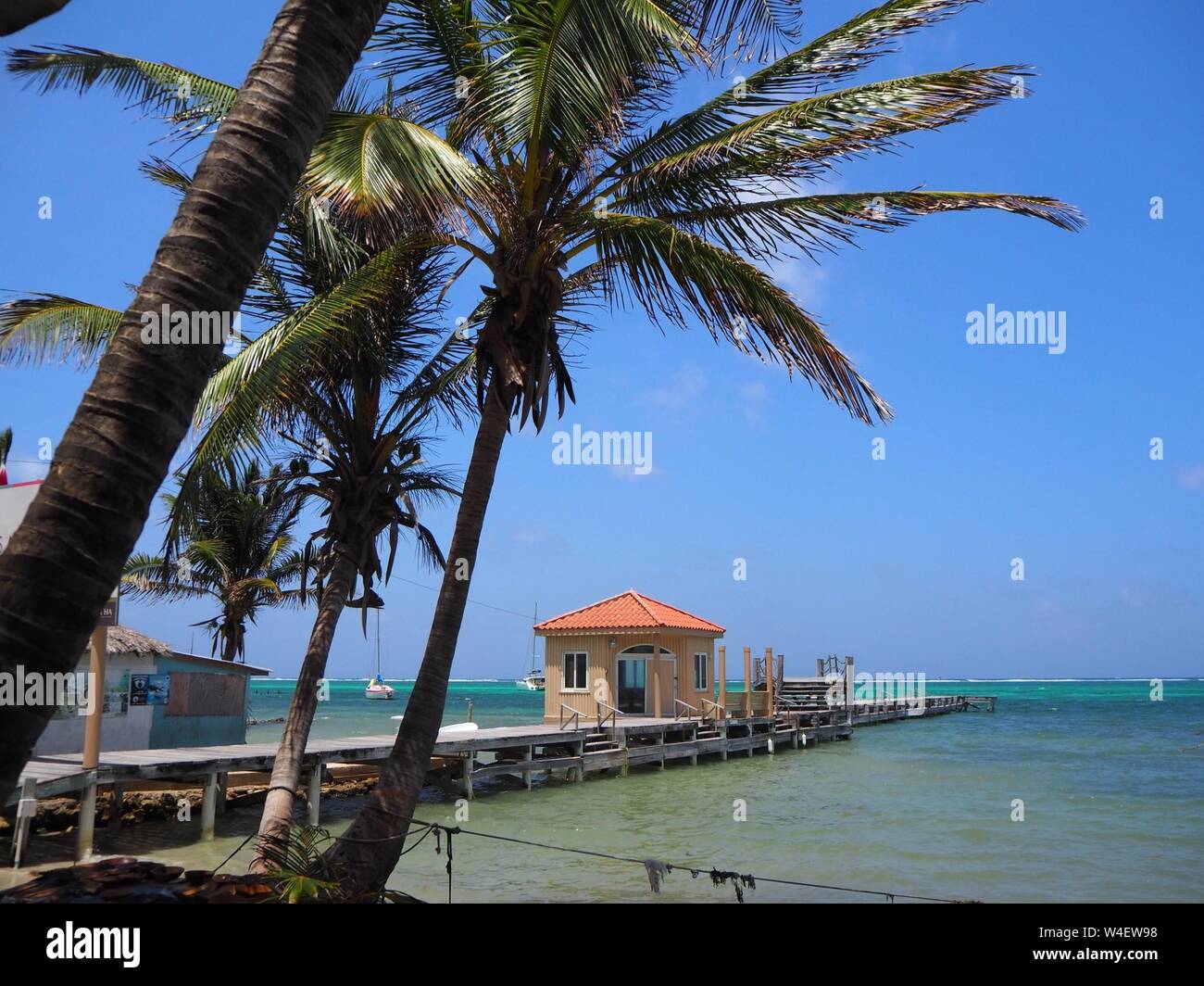 Der Strand auf Ambergris Caye, Beliaze, tropisches Paradies Insel in der Karibik. Stockfoto