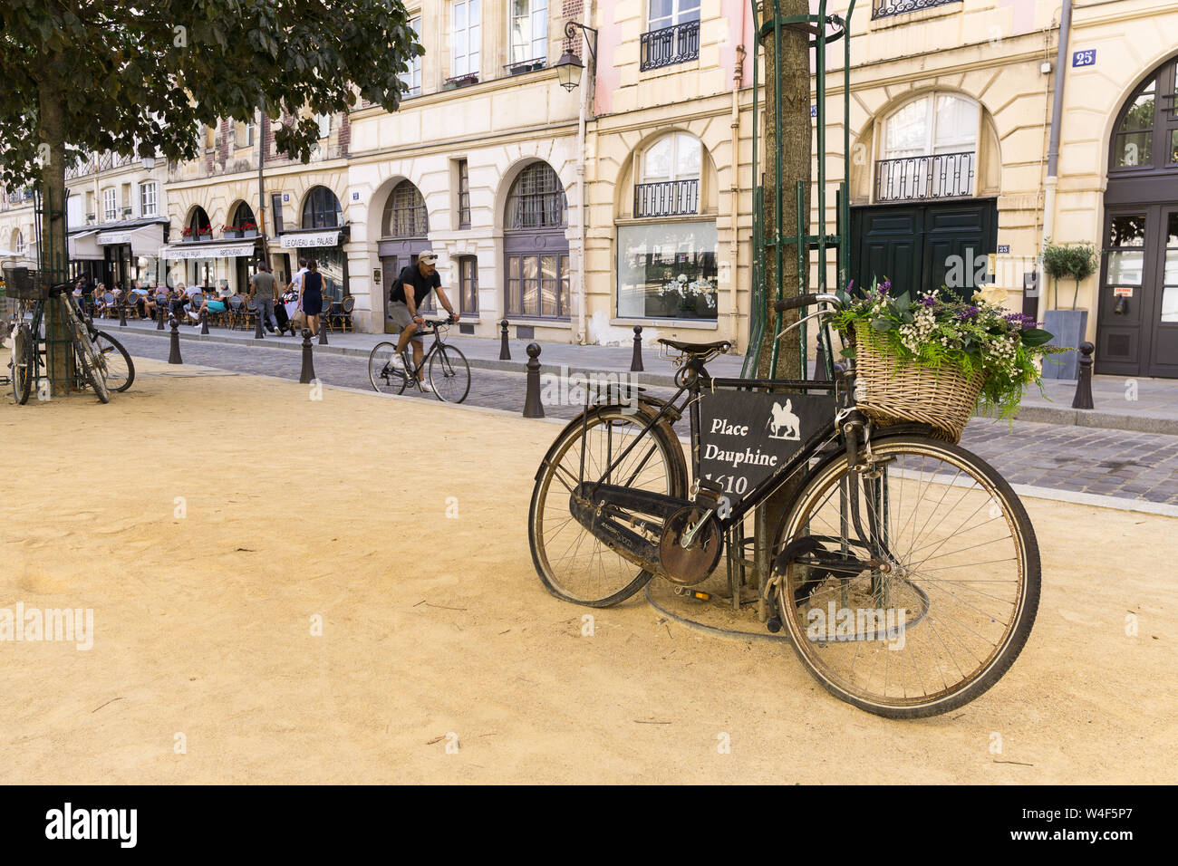 Paris Place Dauphine - Fahrrad lehnte sich gegen Baum am Place Dauphine auf der Ile de la Cite in Paris, Frankreich, Europa. Stockfoto