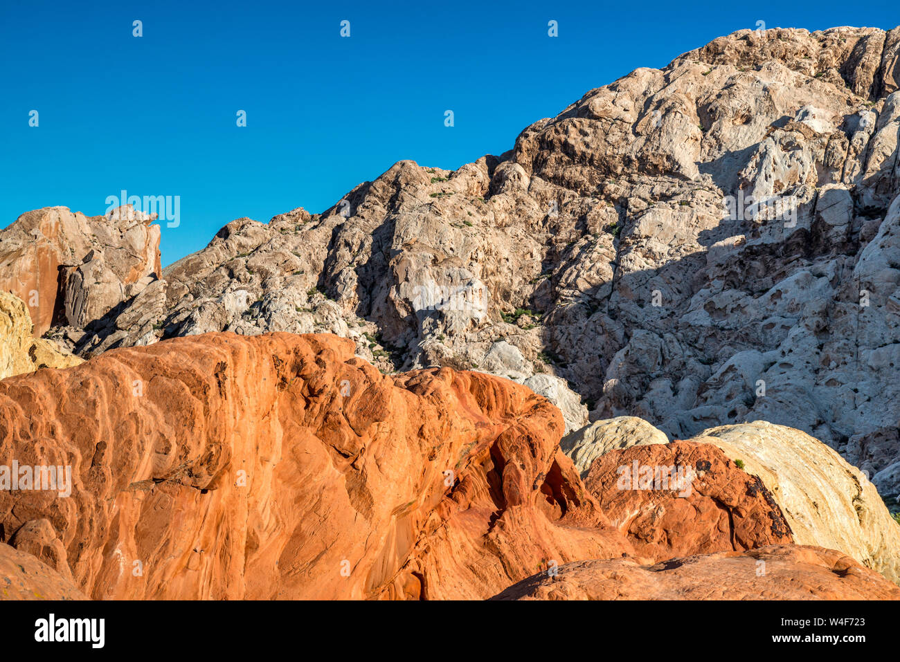 Multi Felsen in Whitney Pocket gefärbt, Gold Butte National Monument, Mojave Desert, Nevada, USA Stockfoto