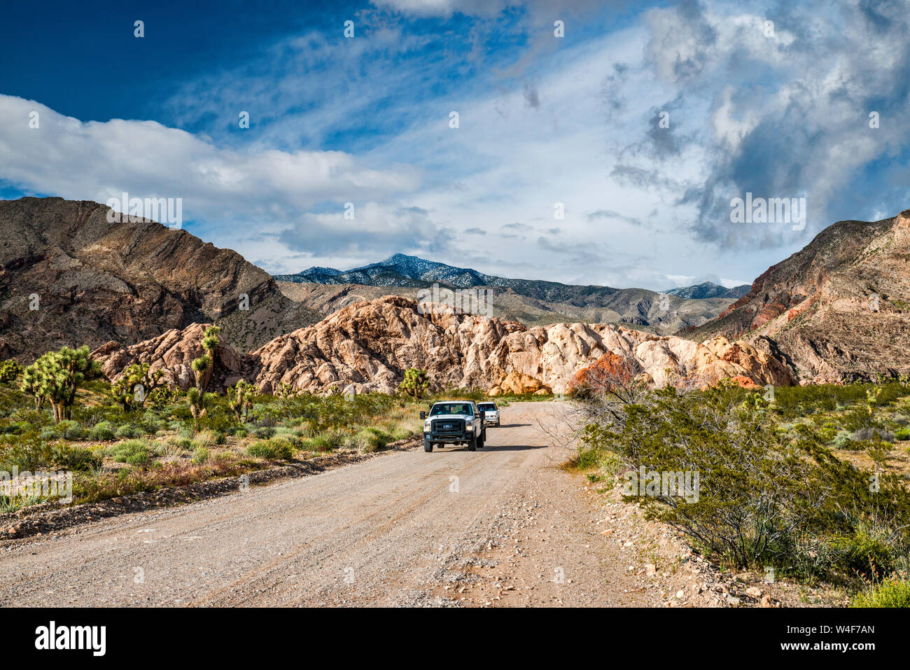 Gold Butte Road, Mojave Desert mit Mud Hills und schneebedeckten Virgin Mountains in der Ferne sichtbar, Gold Butte National Monument, Nevada, USA Stockfoto