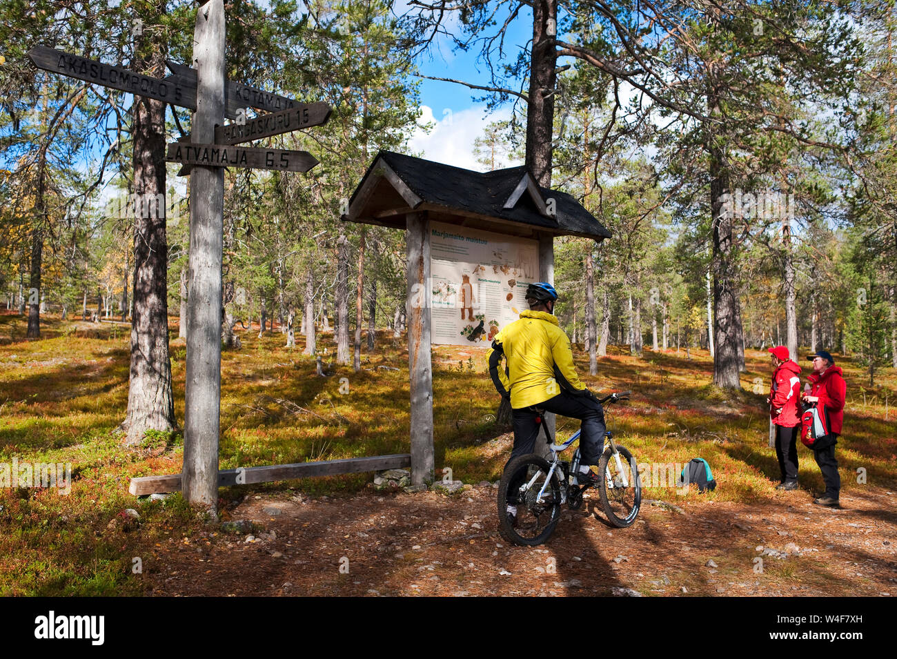 Radfahren im Park, Wanderer, Taigawald, Ruska Zeit (Herbst), Pallas-Yllastunturi Nationalpark, Lappland, Finnland Stockfoto