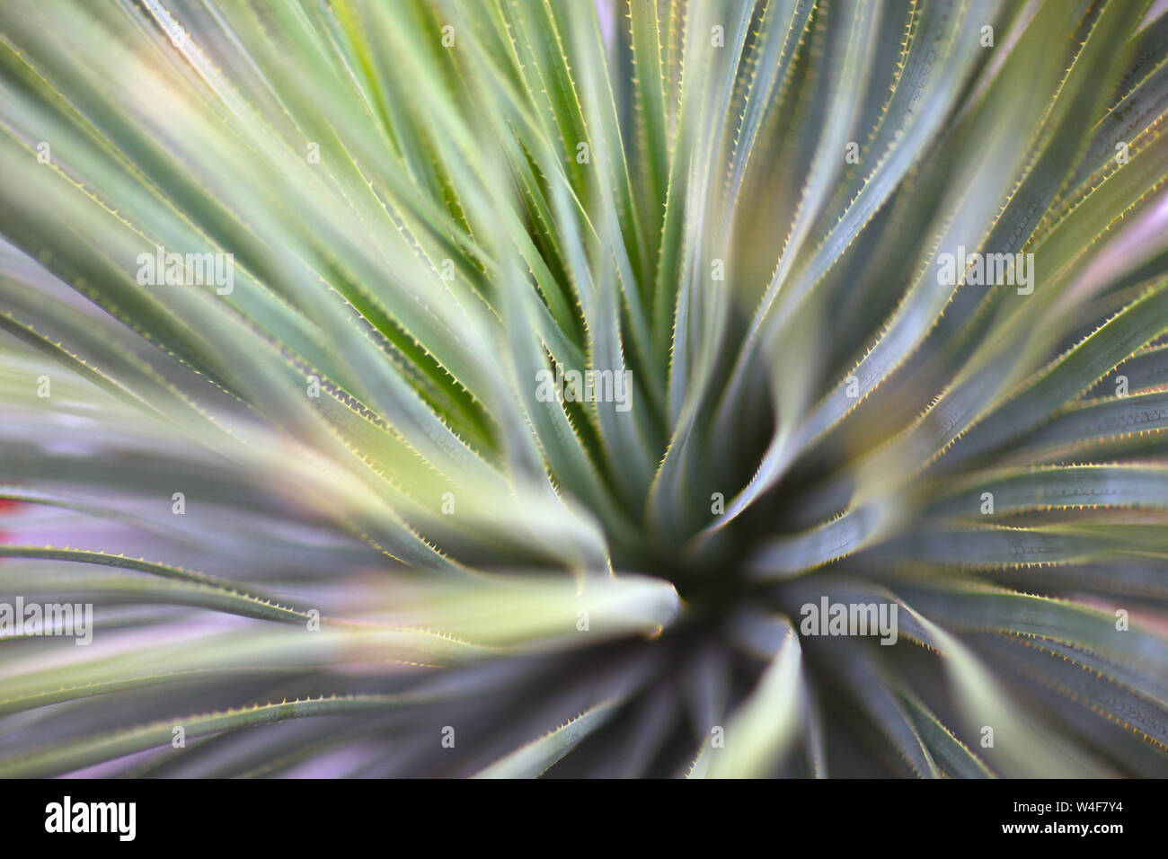 Zusammenfassung Hintergrund Bild der lange Fuzzy farbige Streifen Stockfoto