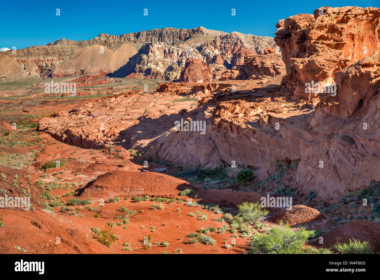 Jurassic Sandstone Rocks, Canyon in Little Finland Area, Gold Butte National Monument, Mojave Desert, Nevada, USA Stockfoto