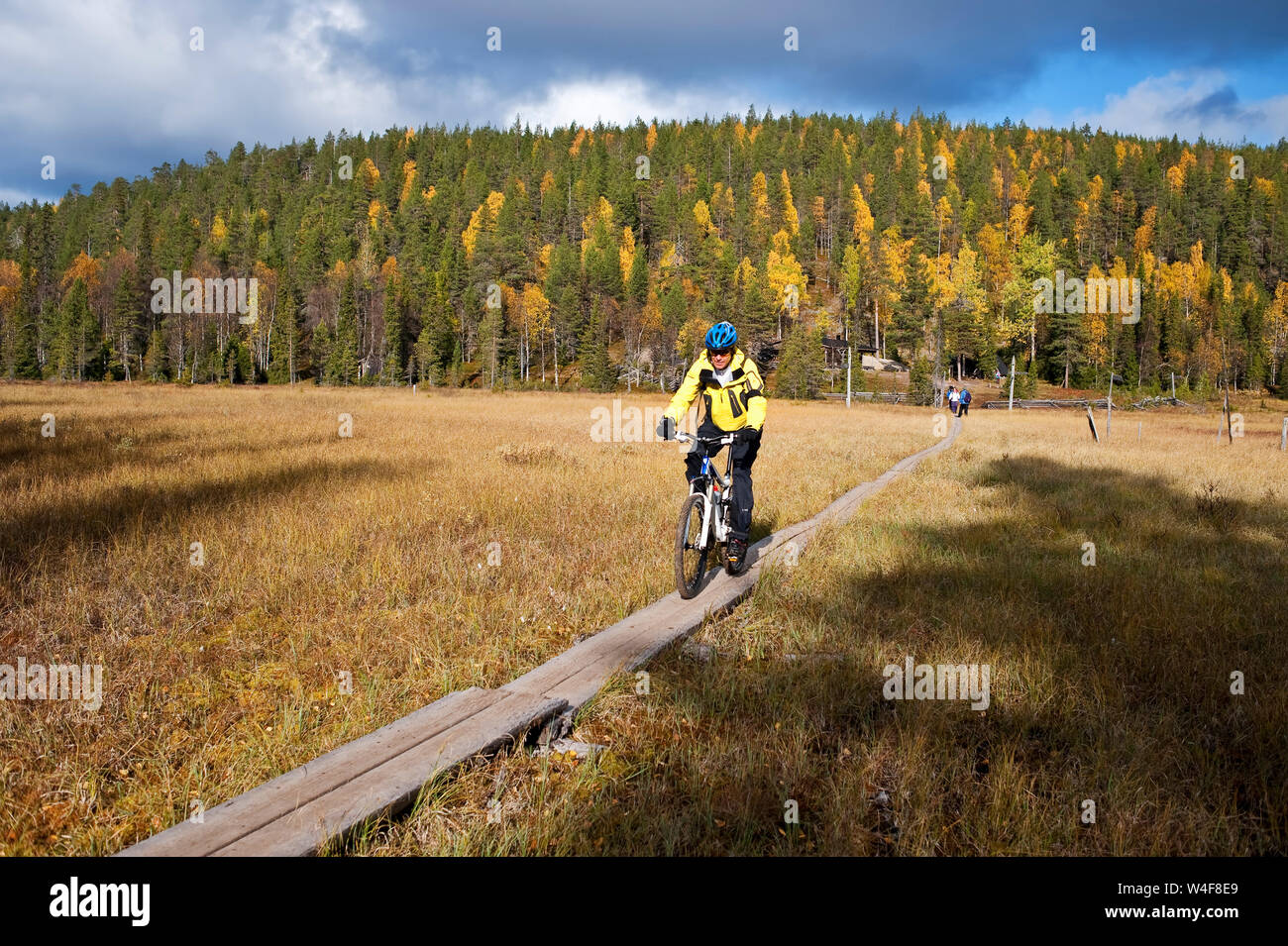Radfahren im Park, Taigawald, Ruska Zeit (Herbst), Pallas-Yllastunturi Nationalpark, Lappland, Finnland Stockfoto