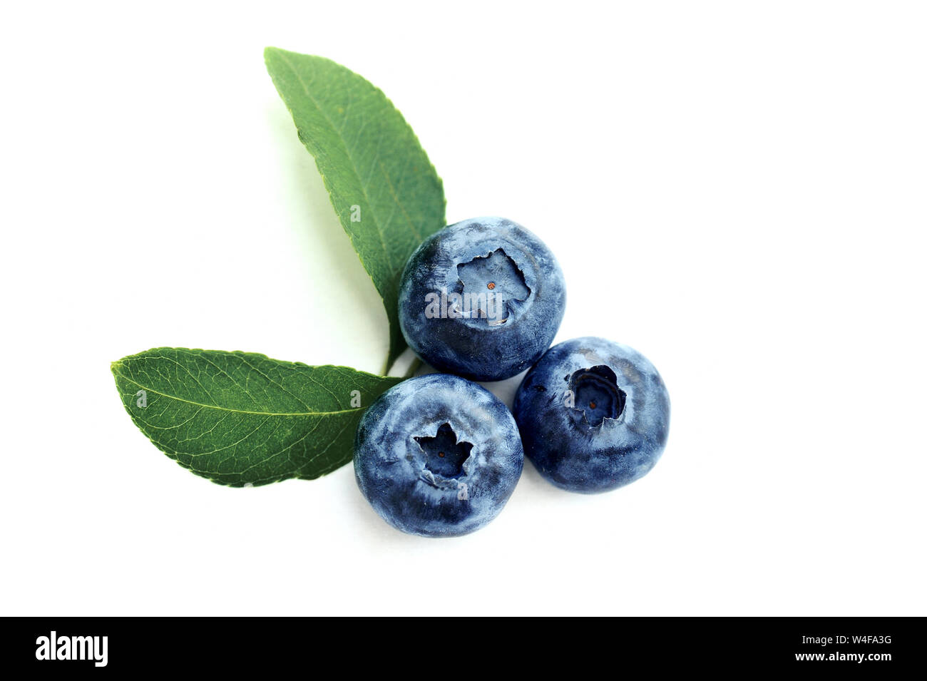 Sommer blueberry auf weißem Hintergrund. Beeren für Design. Nahaufnahme, Ansicht von oben oder flach mit Platz für Ihren Text Stockfoto