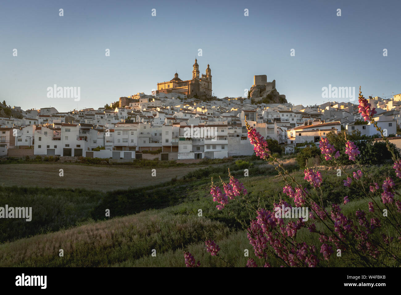 Olvera Stadt mit Burg und Dom - Olvera, Provinz Cadiz, Andalusien, Spanien Stockfoto