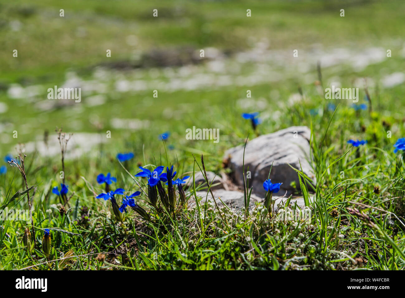 Montenergo, P 14 Mountain lookout Straße. Stockfoto