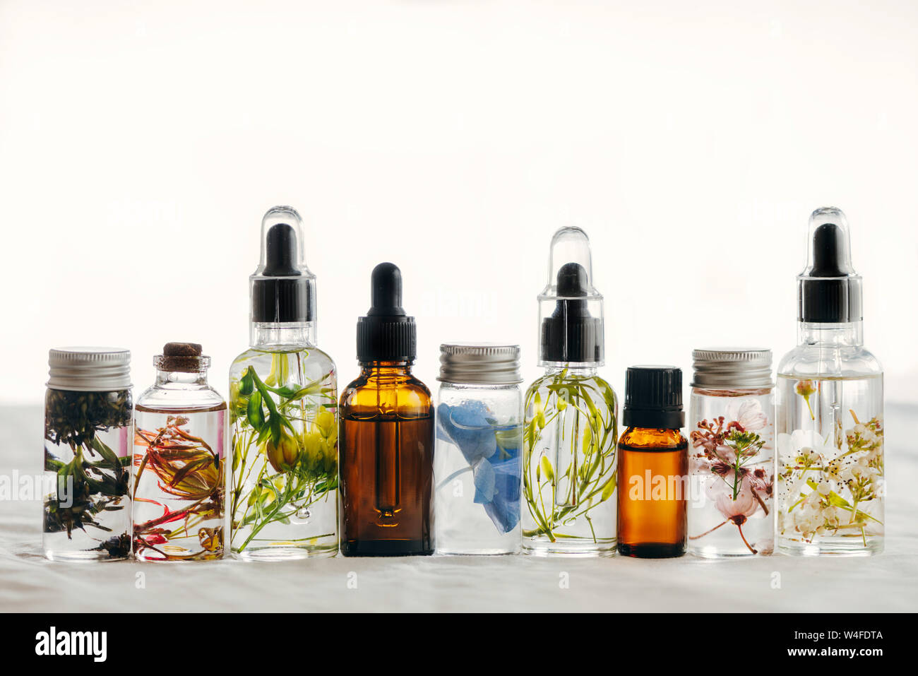 Transparente Flaschen des wesentlichen Öls mit frischen Kräutern und Blumen, natürliche Behandlung für Massage, Aromatherapie oder Spa. Natürliche Medikamente Stockfoto