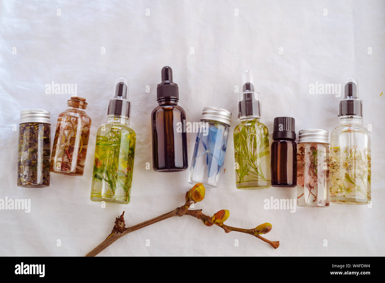 Transparente Flaschen des wesentlichen Öls mit frischen Kräutern und Blumen, natürliche Behandlung für Massage, Aromatherapie oder spa-Konzept. Natürliche Medikamente. Stockfoto