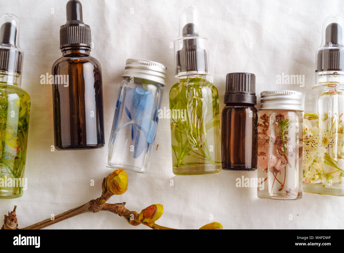 Transparente Flaschen des wesentlichen Öls mit frischen Kräutern und Blumen, natürliche Behandlung für Massage, Aromatherapie oder spa-Konzept. Natürliche Medikamente. Stockfoto