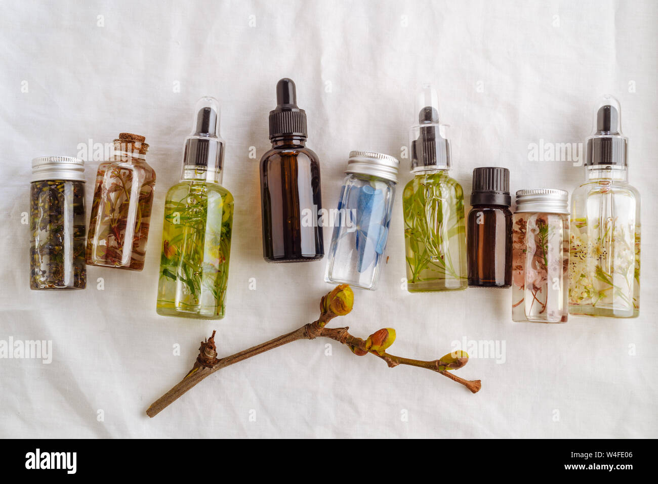 Transparente Flaschen des wesentlichen Öls mit frischen Kräutern und Blumen, natürliche Behandlung für Massage, Aromatherapie oder spa-Konzept. Natürliche Medikamente. Von Stockfoto