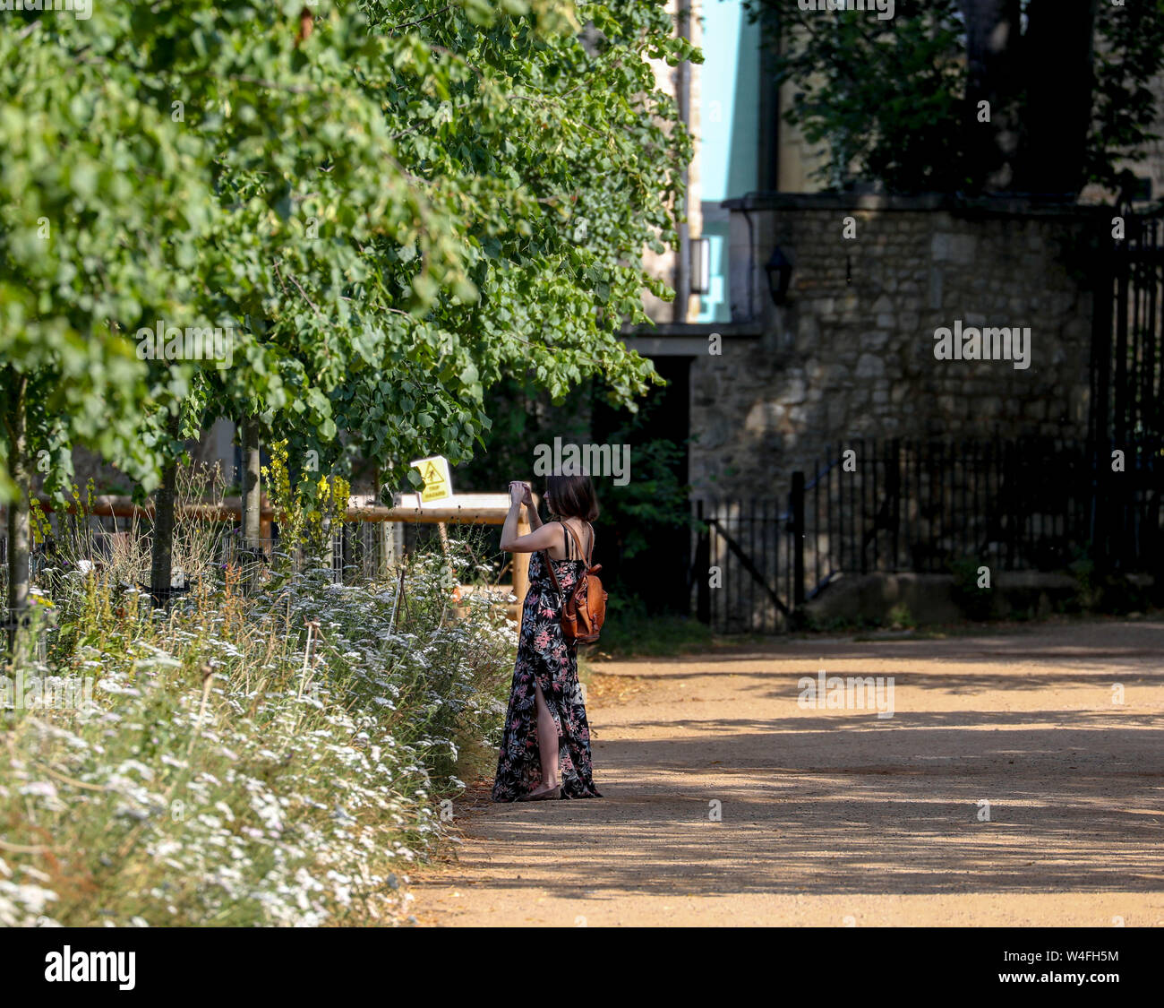 Eine Dame nimmt ein Foto in Oxford, wie das Vereinigte Königreich wird erwartet, in Richtung seiner heißesten jemals Juli Tag, mit dem Mercury Wegen steigen über 30 C (86 F). Stockfoto