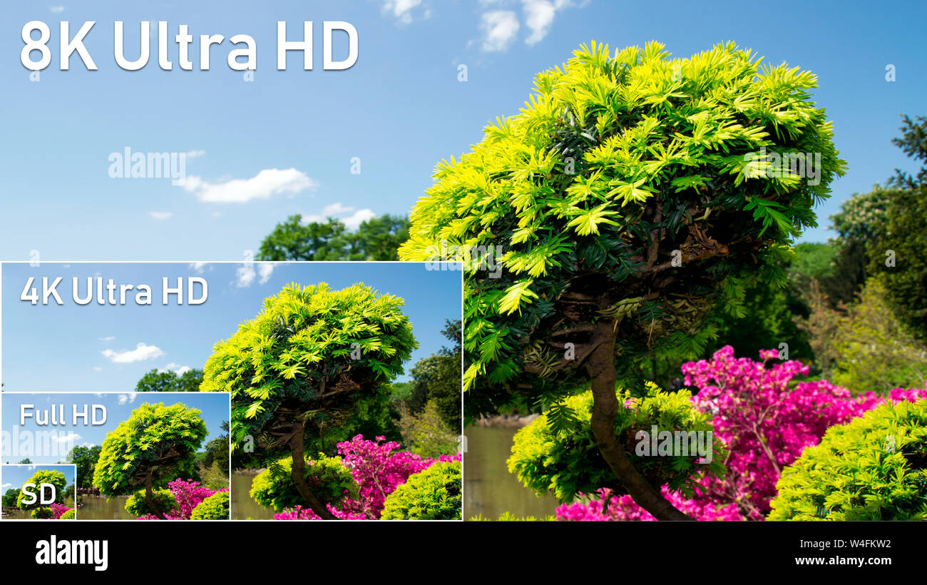 8K Ultra HD, 4K UHD, Full HD- und HD-Auflösung zu vergleichen. TV-Standards Präsentation Stockfoto