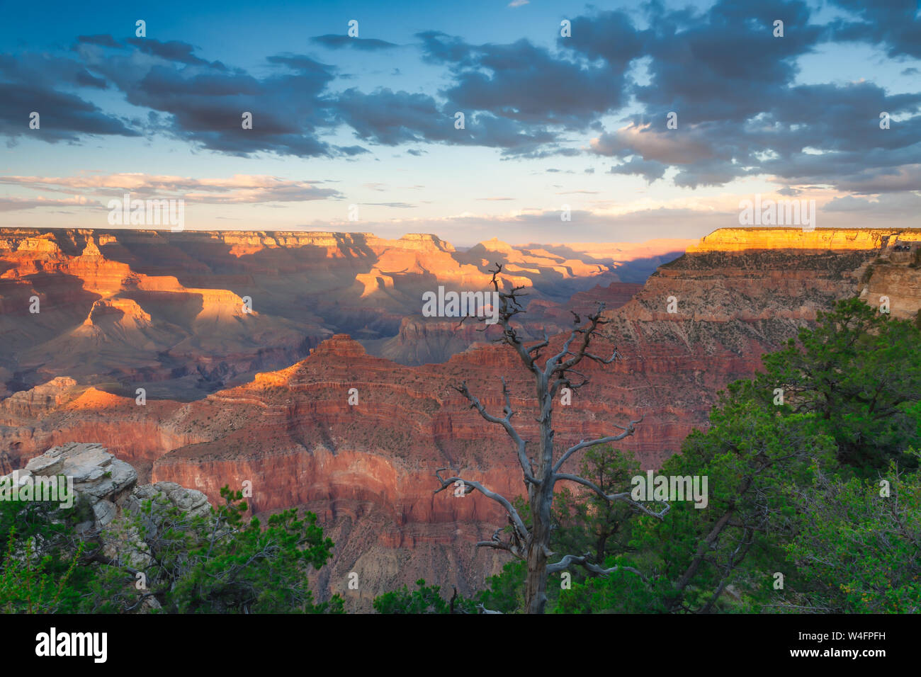 Blick über den Grand Canyon bei Sonnenuntergang - Arizona, USA Stockfoto