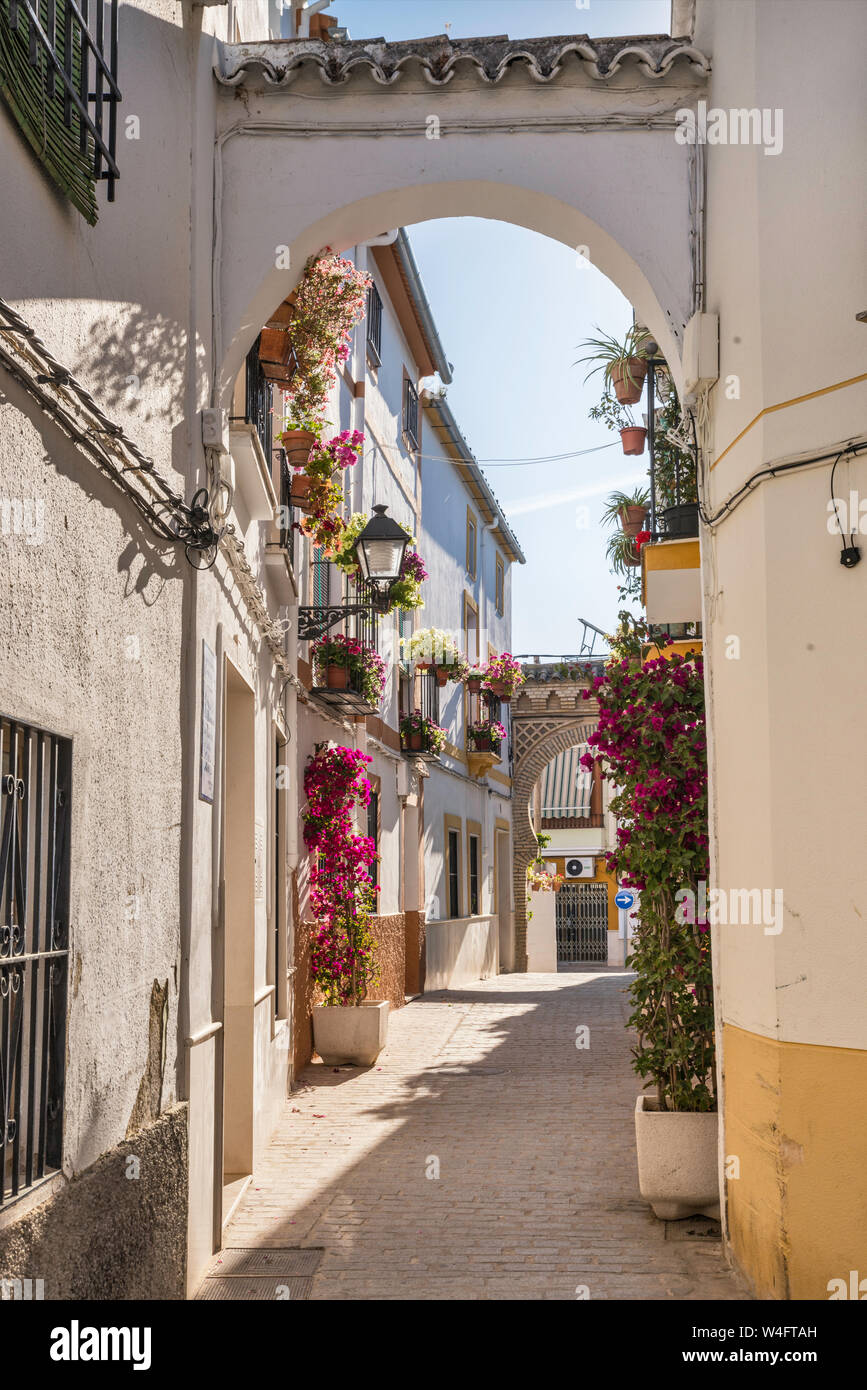 Calle Puerta del Sol, Gasse mit strebepfeilern zwischen Gebäuden, in Cabra, Provinz Córdoba, Andalusien, Spanien Stockfoto