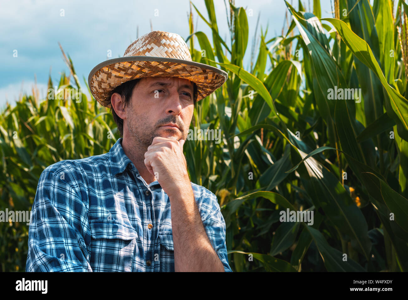 Verantwortlich mais Bauer im Feld Denken mit der Hand am Kinn nach Überprüfung auf Maispflanzen Entwicklung Stockfoto