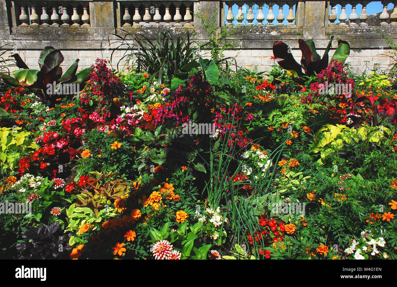 In diesem Parkgarten werden blühende Blumen und bunte Blätter zu einem herrlichen Farbenaufsehen. Fotografiert in Burgund, Frankreich. Stockfoto