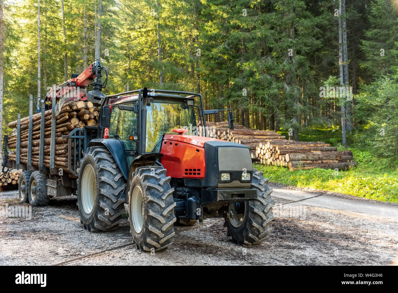 Gabelstapler Greifer Holz in Holz Verarbeitungsbetrieb, Kiefernwald, Europa Stockfoto