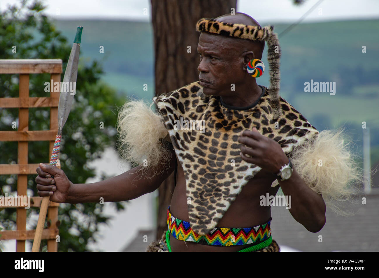 Zulu Krieger. Besuch von König Goodwill der Zulu Nation auf der Royal Welsh Show (RWAS) in Builth Wells. Llanelwedd, Powys, Wales. Stockfoto