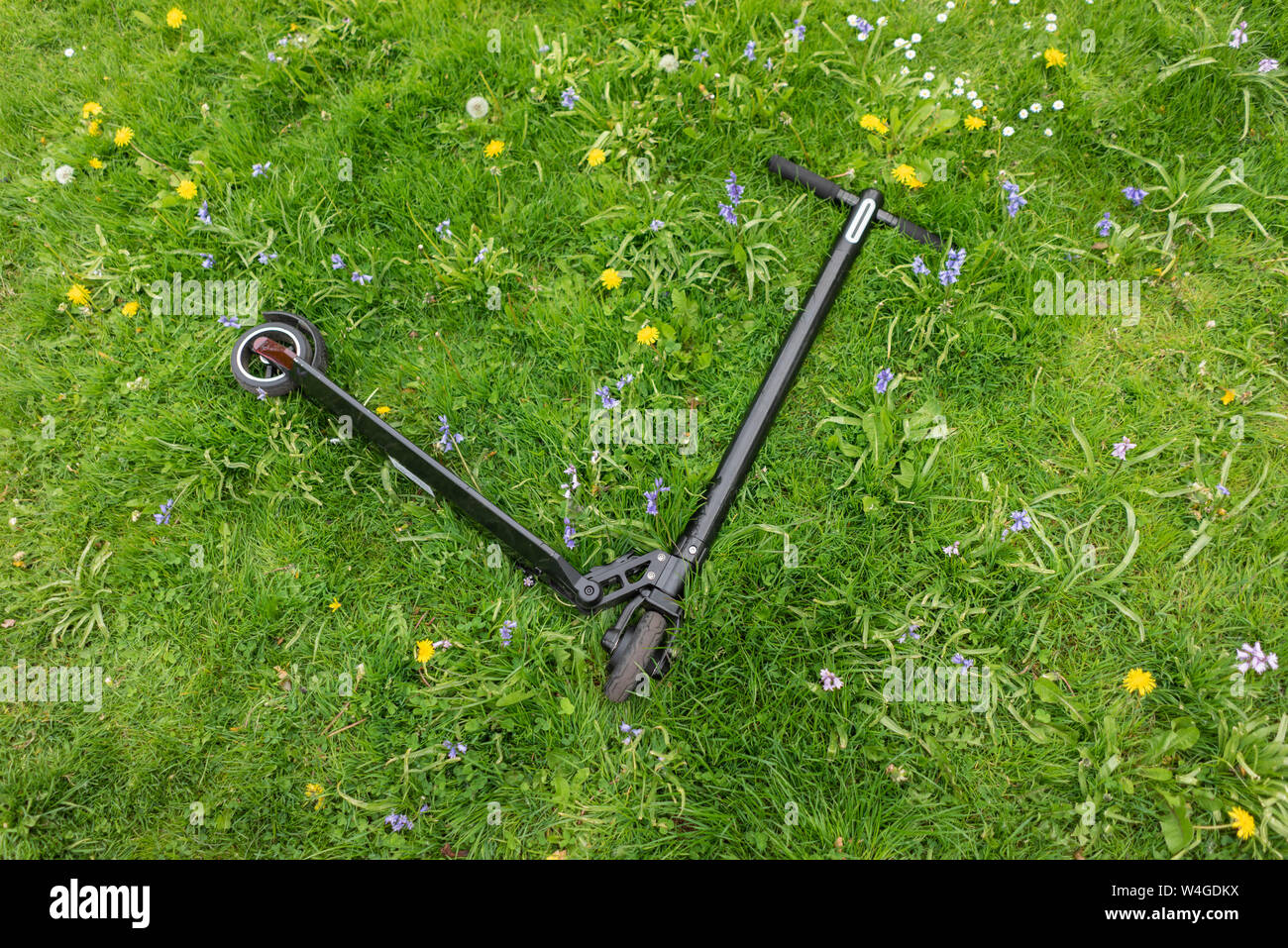 E-Scooter liegen auf Blumenwiese Stockfoto