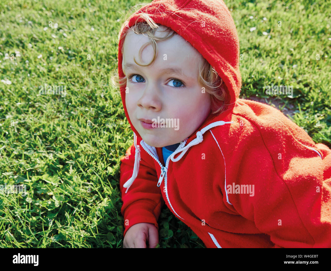 Portrait von kleinen Jungen auf der Wiese das Tragen der roten Jacke hoooded Stockfoto