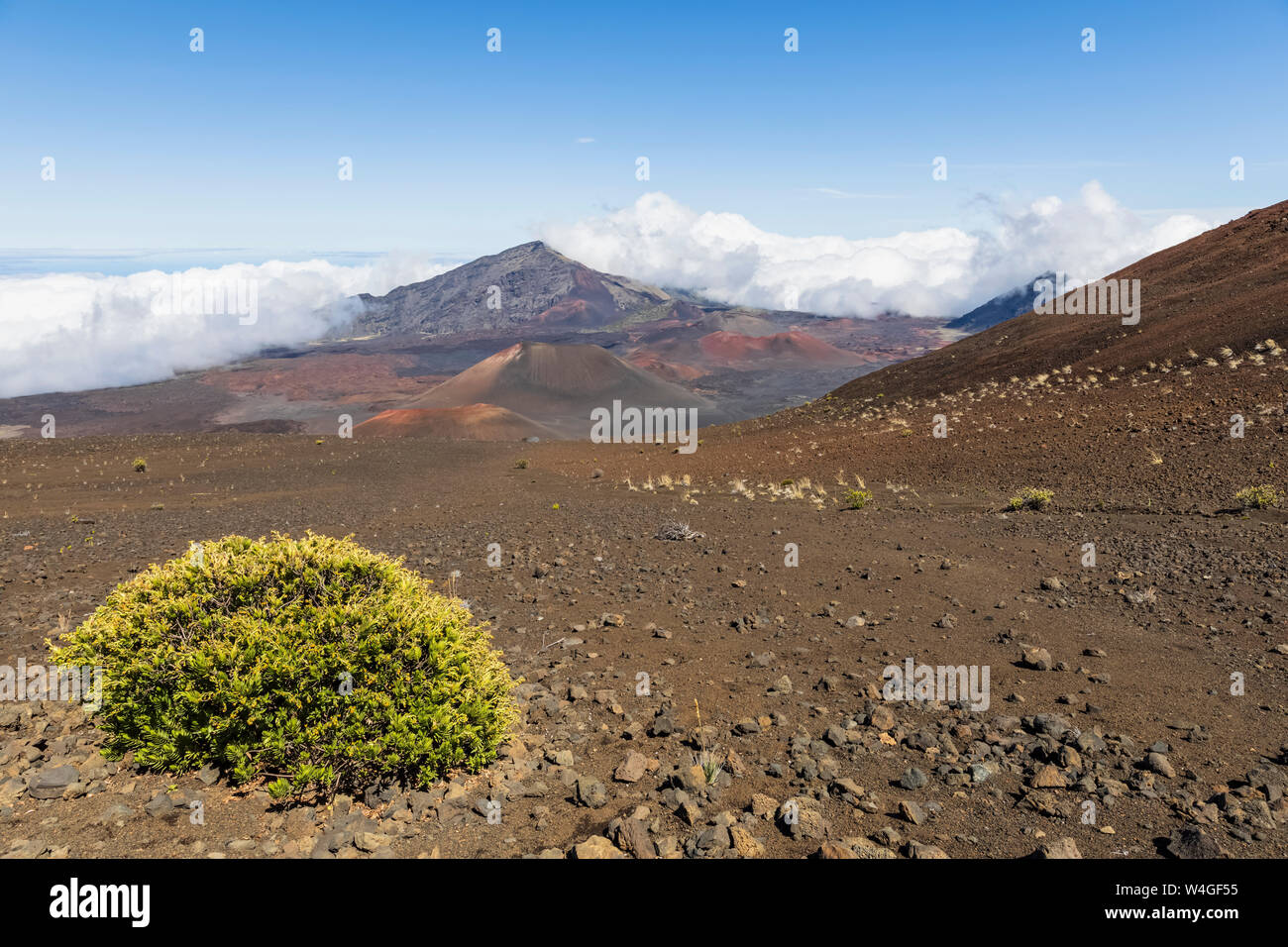 Krater Kama'oli' ich, Pu'-Me'ui, Pu'uopele und Kamohoalii, Sliding Sands Trail Haleakala Vulkan Haleakala National Park, Maui, Hawaii, USA Stockfoto