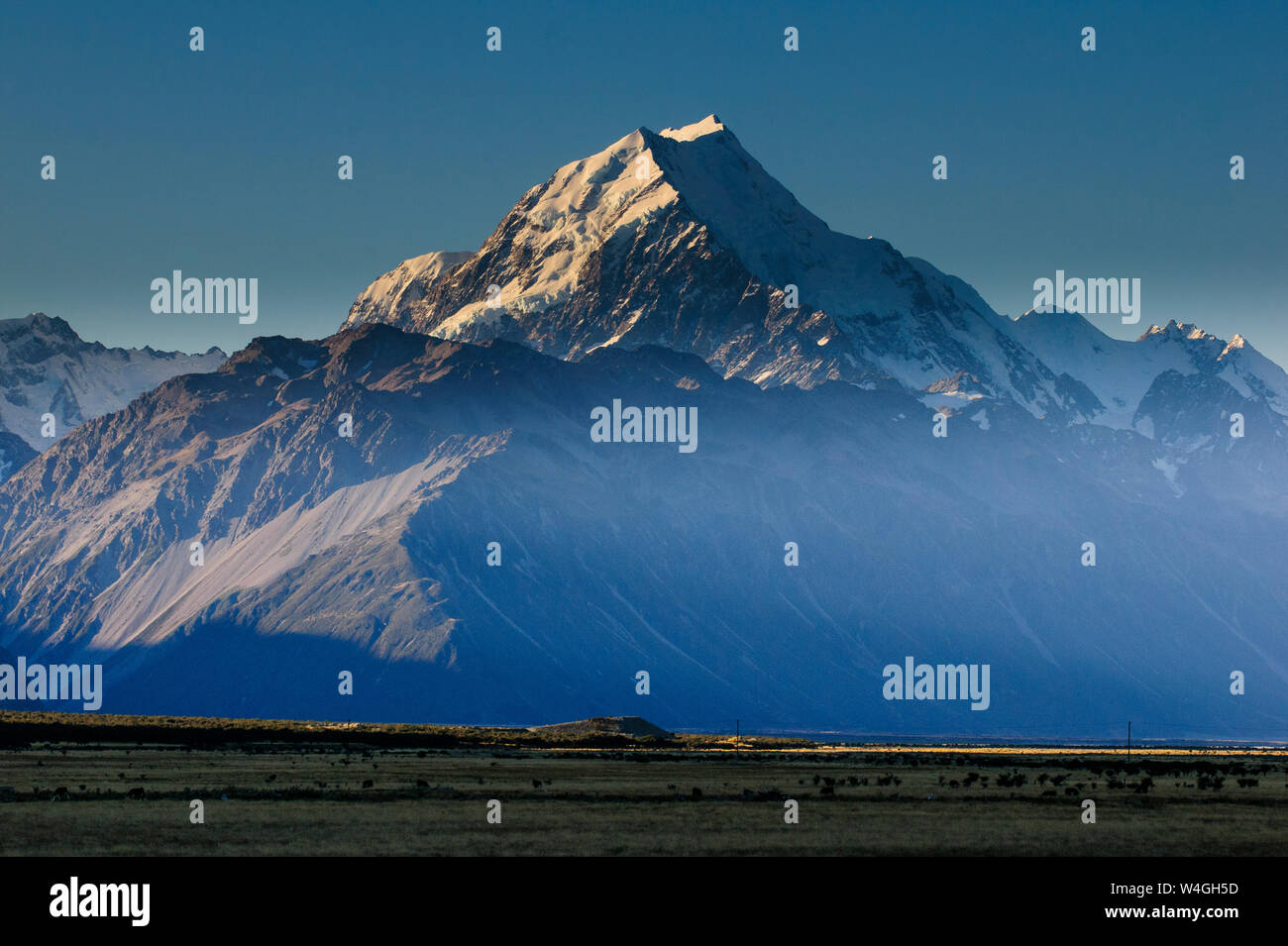 Mount Cook am Nachmittag, Licht, Mount Cook National Park, South Island, Neuseeland Stockfoto