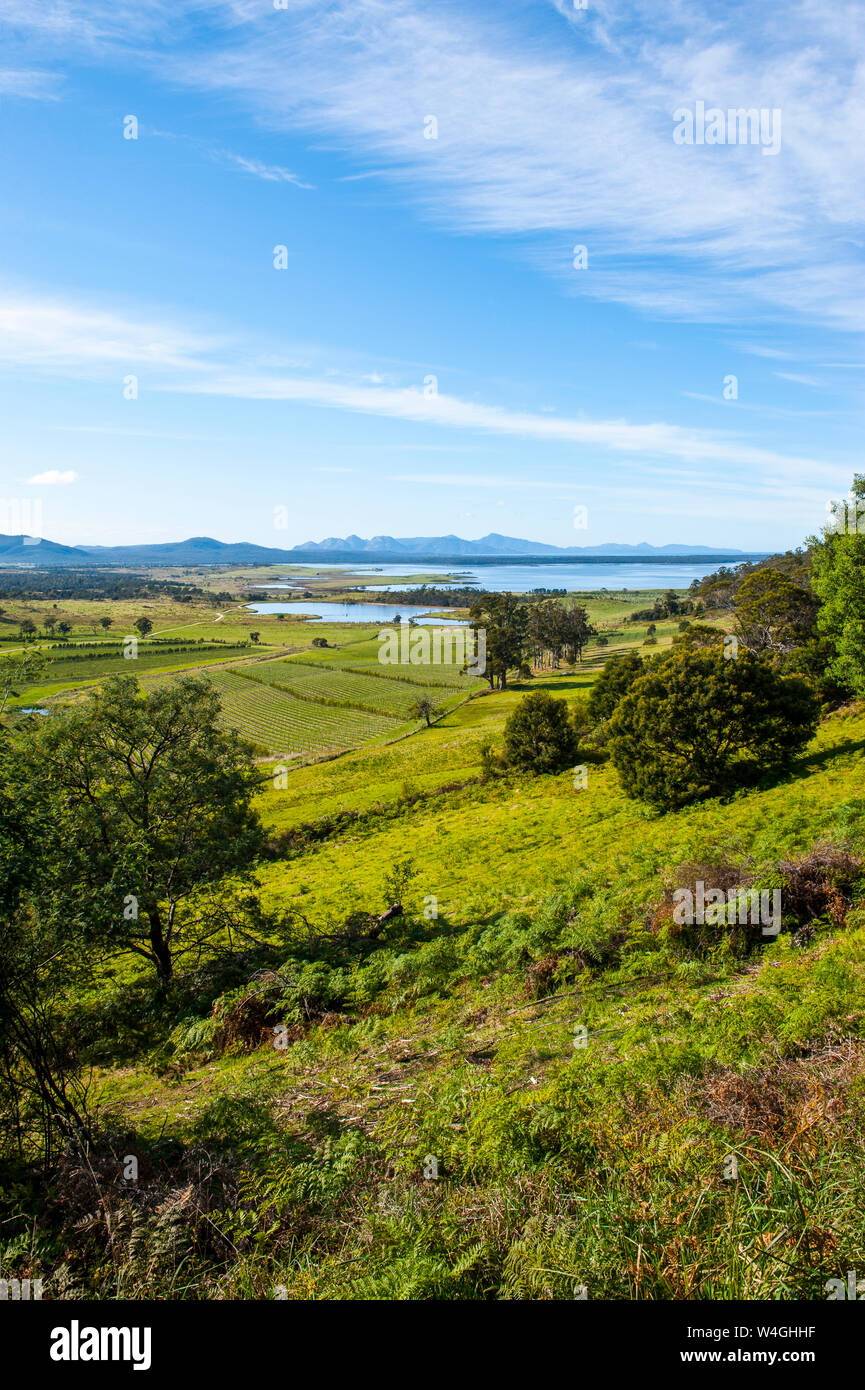Blick über die Ostküste von Tasmanien, Australien Stockfoto