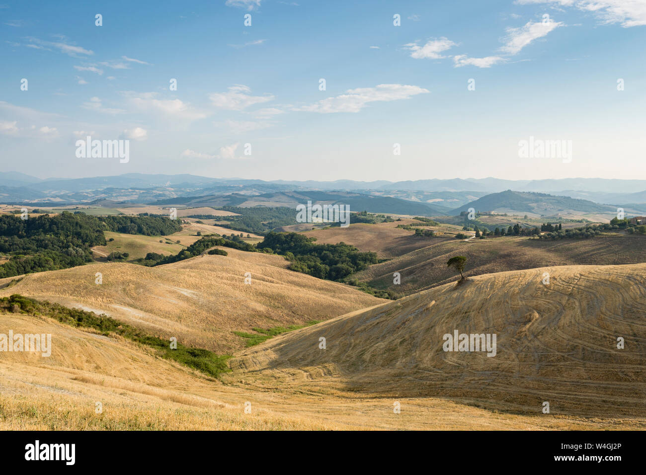 Landschaft mit abgeernteten Feldern, Toskana, Italien Stockfoto