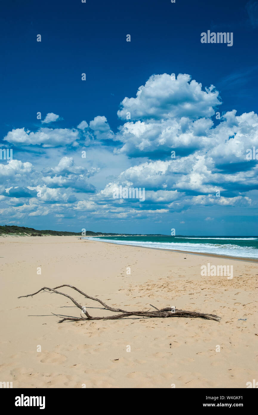 Strand am Cape Conran, Victoria, Australien Stockfoto