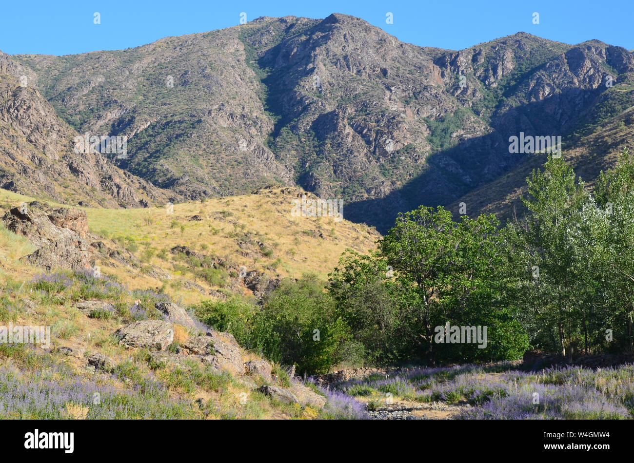 Nuratau nuratau-kyzylkum Biosphärenreservat, Berge, zentralen Usbekistan Stockfoto