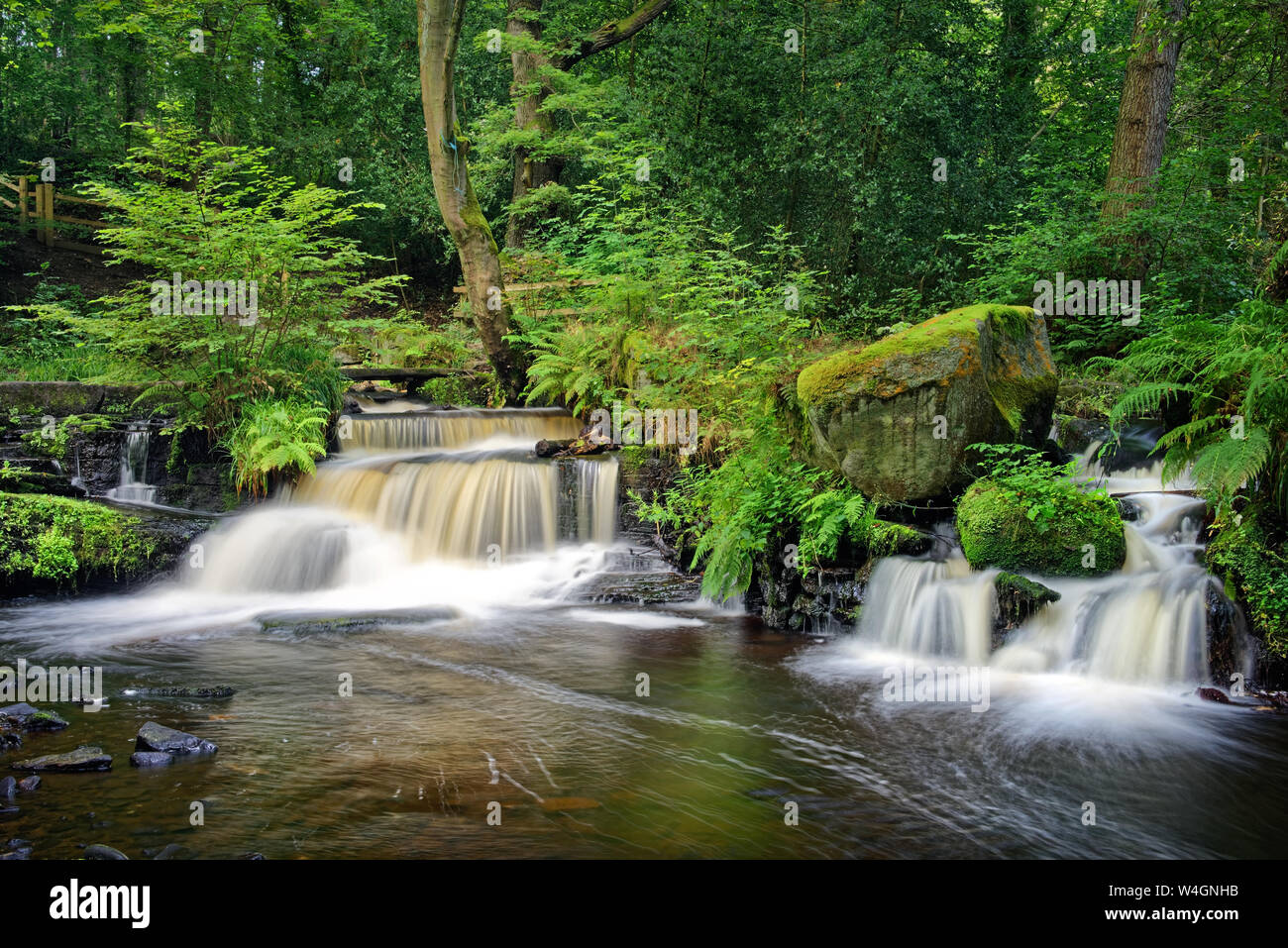 UK, South Yorkshire, Sheffield, Fluss Rivelin, Dritten Niederwald Rad Stockfoto