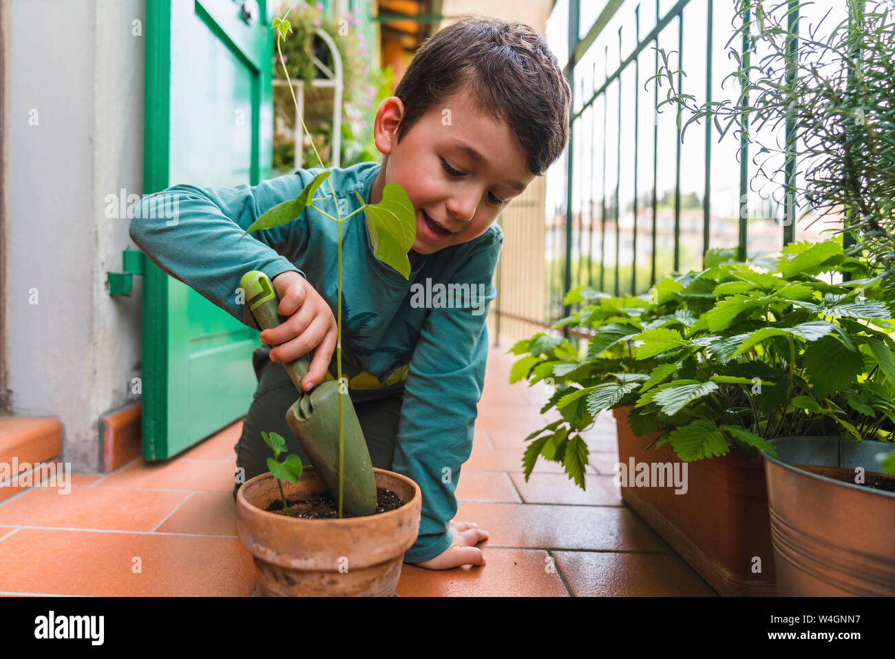 Gartenarbeit am balkon Fotos und Bildmaterial in hoher Auflösung Alamy