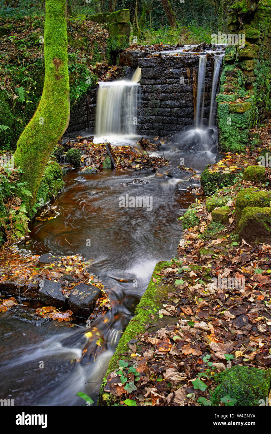 UK, South Yorkshire, Sheffield, Obere Rad Rivelin Stockfoto