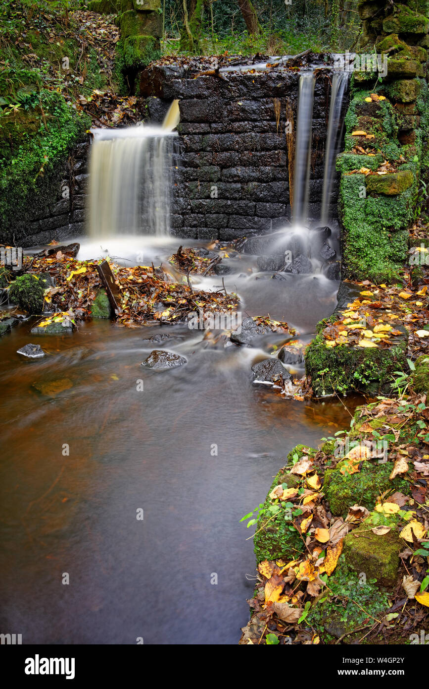 UK, South Yorkshire, Sheffield, Obere Rad Rivelin Stockfoto