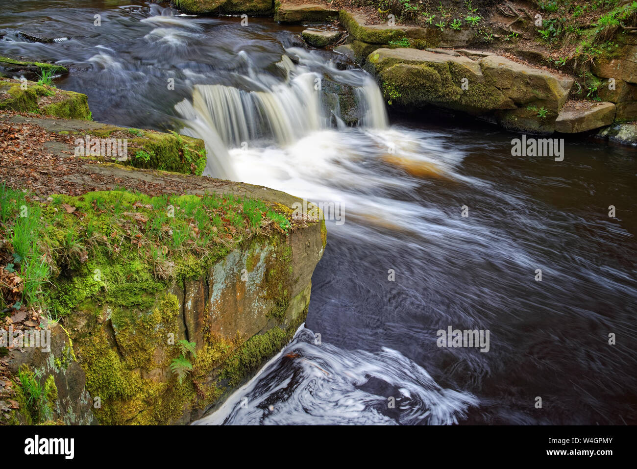 UK, South Yorkshire, Sheffield, Fluß Rivelin Wasserfälle im Herbst Stockfoto