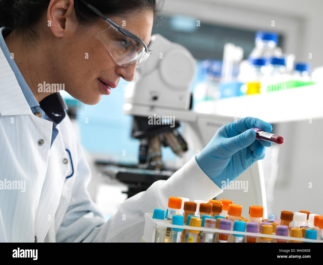 Labortechniker Vorbereitung einer Vielzahl von Proben menschlichen für medizinische Tests im Labor Stockfoto