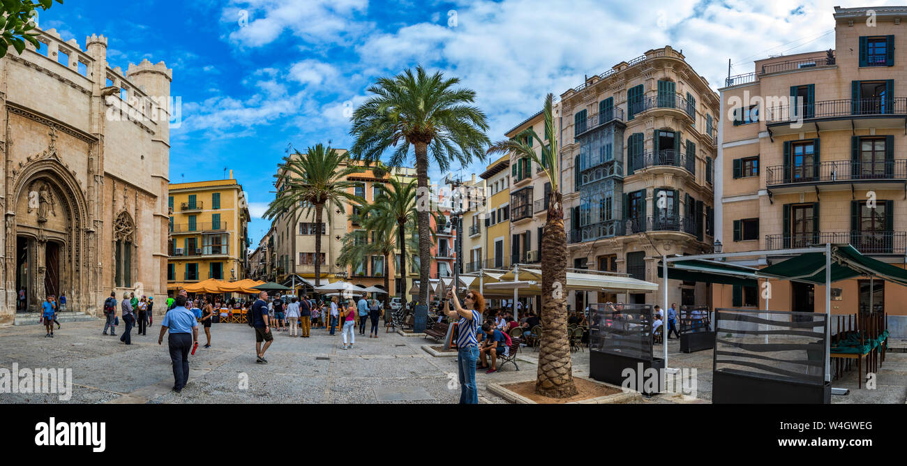 Mallorca, Panoramabild vom Placa de la Llotja, Palma de Mallorca, Mallorca, Spanien Stockfoto