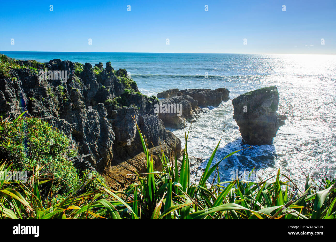 Hintergrundbeleuchtung des riesigen Felsen im Ozean, Pancake Rocks, Paparoa Nationalpark, Südinsel, Neuseeland Stockfoto